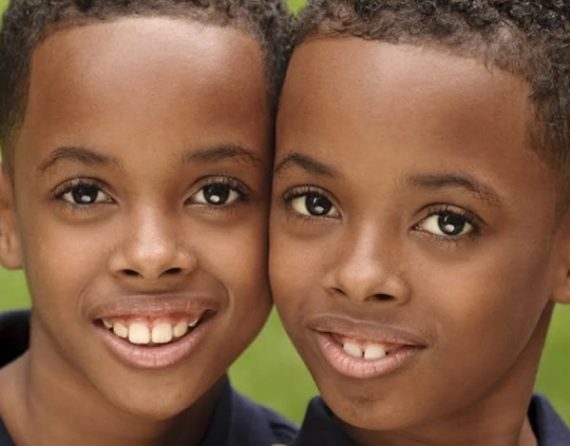 Twin Zygosity Legal Test